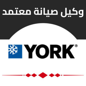 يورك